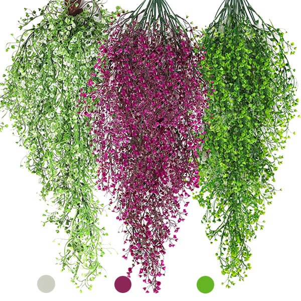 Dekorative hängepflanze - Ivyplant