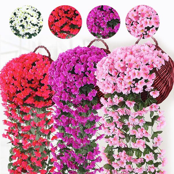 Dekorative hängende Blume - Hangyplant